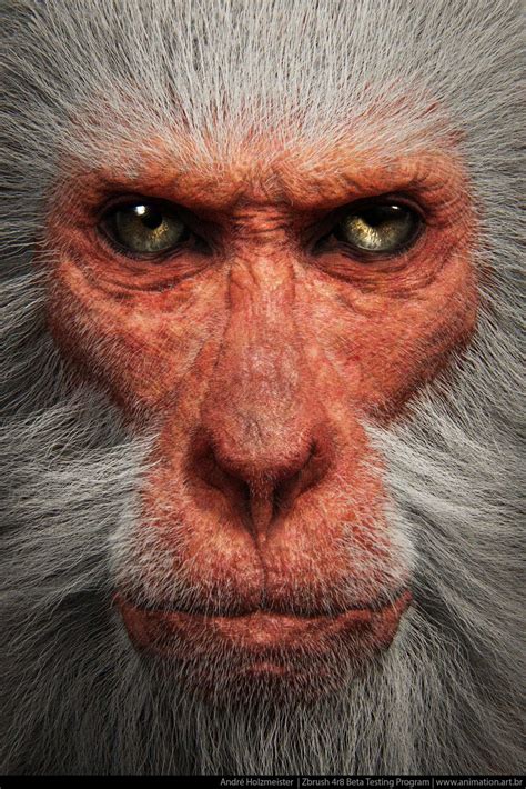 ArtStation - The Snow Monkey | Primate Series, Andre Holzmeister ...