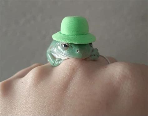 🎩Hat frog🐸