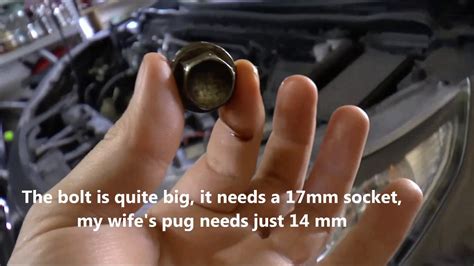 What is the Torque Spec for Oil Drain Plug? - Autopickles