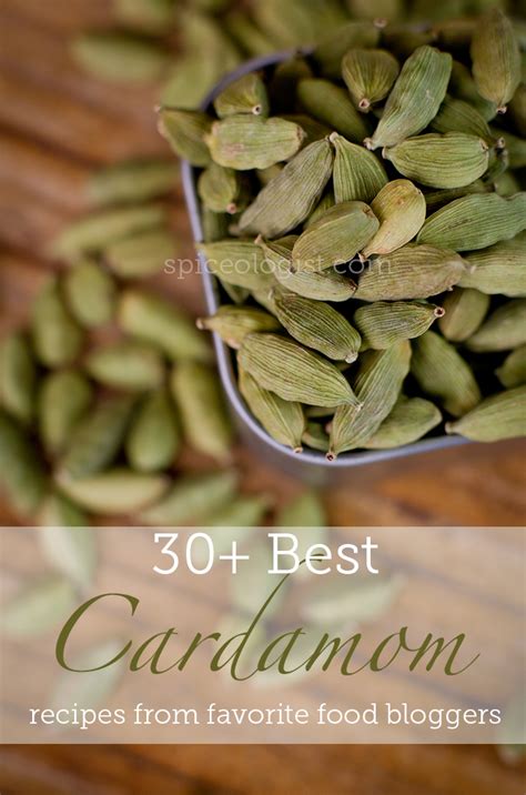 Over 30 Best Cardamom Recipes | Farmgirl Gourmet