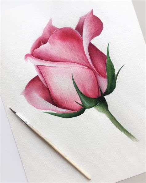 - Dinnerrecipeshealthy sites | Pencil drawings of flowers, Realistic ...