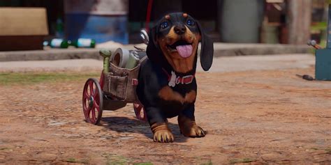 Far Cry 6 Dog Chorizo Cosplayed By a Real & Adorable Dachshund