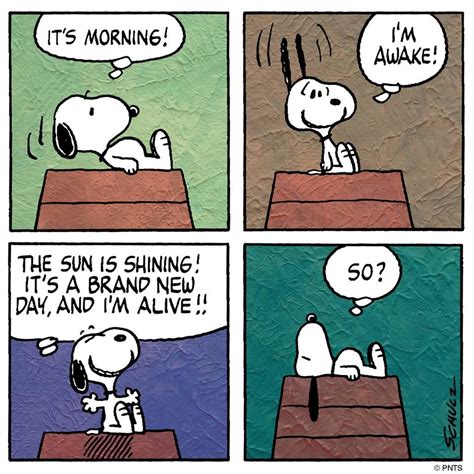 Everything was fine until the last panel. Hmm. | Snoopy quotes, Snoopy ...