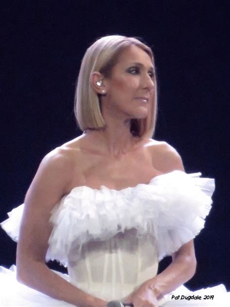 Celine Dion (Courage Tour 2019) Louisville, KY | Celine dion, Women ...