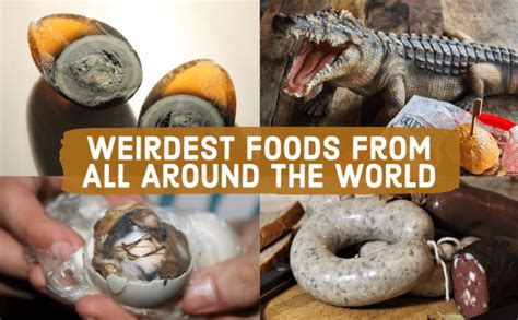 Weirdest Foods From All Around the World & + Like