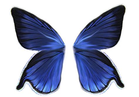 Download 001wings - Butterfly Wings PNG Image with No Background ...