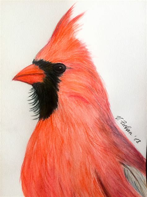 Red Cardinal bird drawing in watercolor pencils 2018 | Handmade wall ...