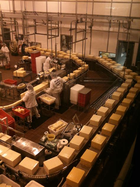 Delicious Ice Cream at Tillamook Cheese Factory