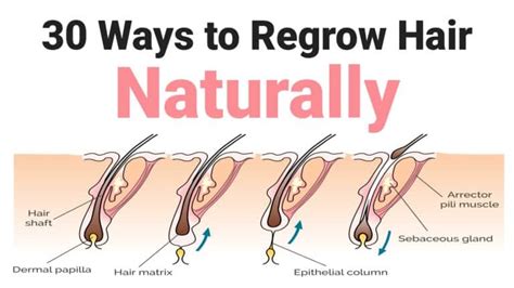 30 Ways to Regrow Hair Naturally