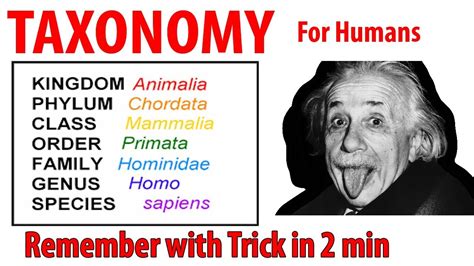 Taxonomy For Humans Trick & Mnemonic 2019 (NEET, AIIMS, FPSC, ETEA ...