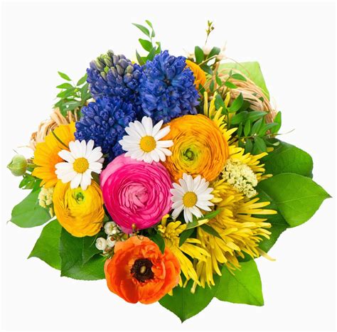 Birthday Flowers Buke Birthday Flower Bouquet Hd Images for Birthday ...