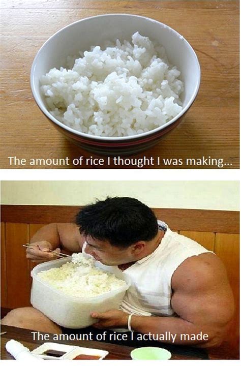 I've had enough rice - Meme by Ziddumz :) Memedroid