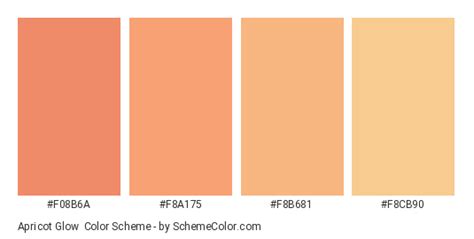 Apricot Glow Color Scheme » Orange » SchemeColor.com