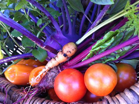 Garden Harvest...October 17, 2014 | Garden harvest, Self watering ...