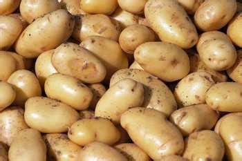 National Potato Council Addresses New Food Safety Guidelines For ...