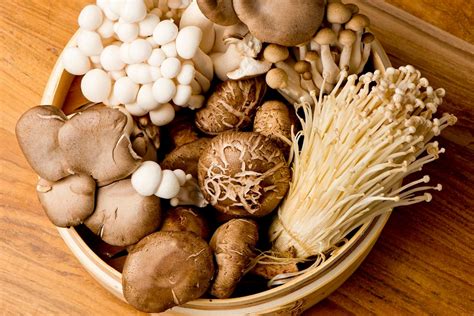 A First-Timer’s Guide To Healing With Functional Mushrooms