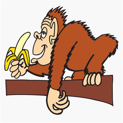 Monkey Eating Banana Cartoons, HD Png Download - kindpng