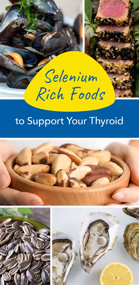 Selenium Rich Foods for Hypothyroidism – NP Thyroid