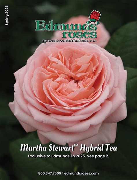 Spring 2025 Edmunds' Roses Catalog, : Edmunds' Roses