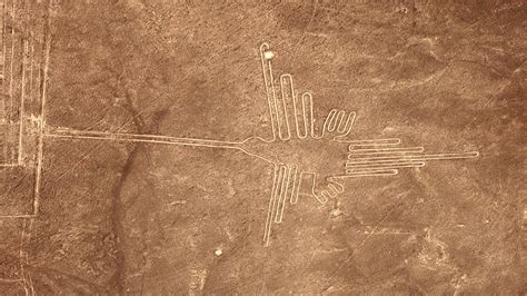 Peru’s Nazca Line etchings depict bird species not native to the area ...