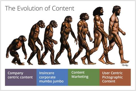 Content Marketing Paradigm Has Shifted. Have You? | Human evolution ...