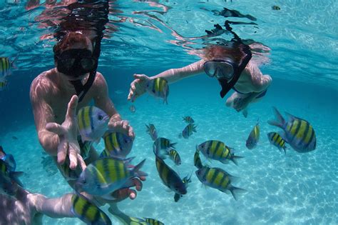 Snorkel Mexico Rocks - San Pedro, Belize