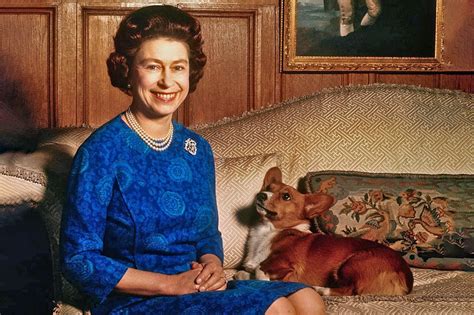 Queen Elizabeth II's Corgis: What Happened to Them After Her Death?