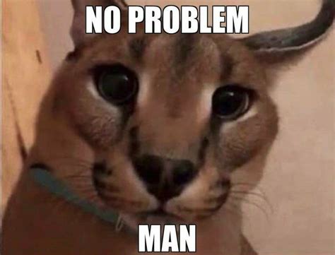 no problem floppa | Cat memes, Cats, Cat tshirt