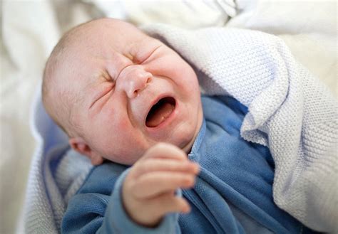 Newborn Babies Crying | ubicaciondepersonas.cdmx.gob.mx