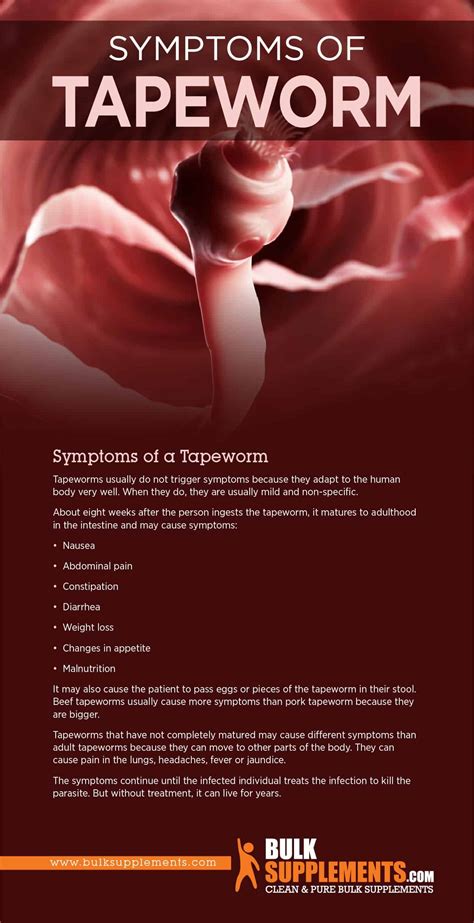 Tapeworm Segments In Human Stool