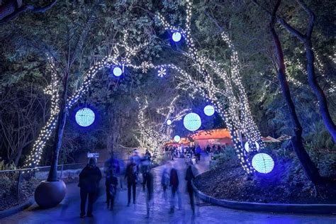 LA Zoo Lights in Griffith Park - What to Know