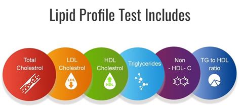 What Is Lipid Profile? | Diagnostic Centre | Best Diagnostic Centre in ...