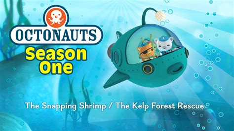 The Snapping Shrimp / The Kelp Forest Rescue