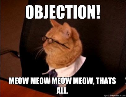 Judge Cat | Legal humor, Lawyer jokes, Law school humor