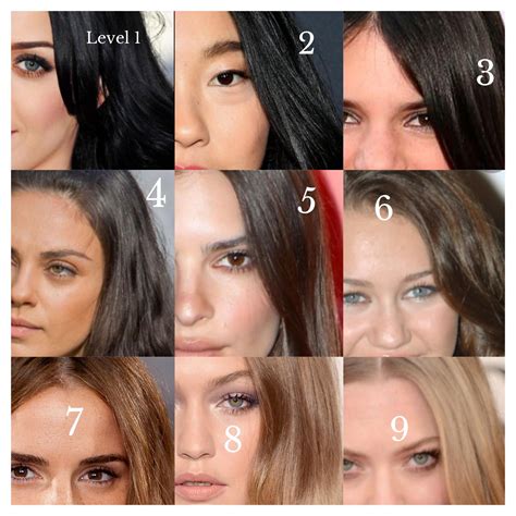 I made a chart of hair levels using female celebs for my friend because ...