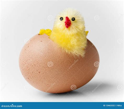 Easter Chicken Hatching Out Of Egg Royalty-Free Stock Image ...