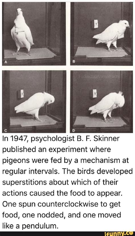 O In 1947, psychologist B. F. Skinner published an experiment where ...