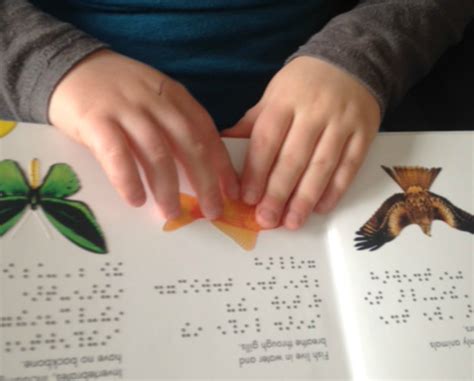 Braille Books from DK – Paths to Literacy