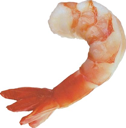 Shrimps PNG transparent image download, size: 417x424px