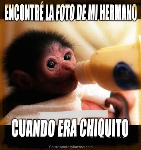 Memes graciosos - Fotos de amor & Imagenes de amor