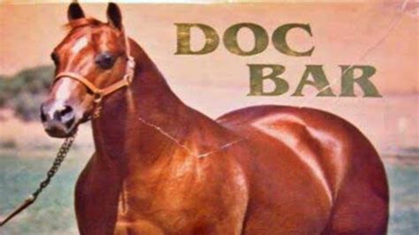 Doc Bar, The Quarter Horse Legend Who Changed the Breed - Animal Family