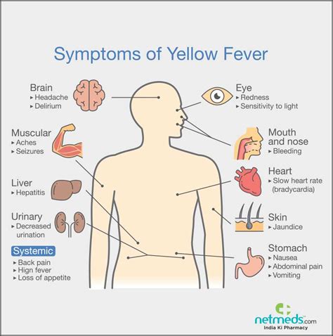 Yellow Fever: Causes, Symptoms, And Treatment | Netmeds