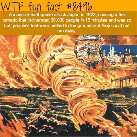 Interesting Facts (25 pics)