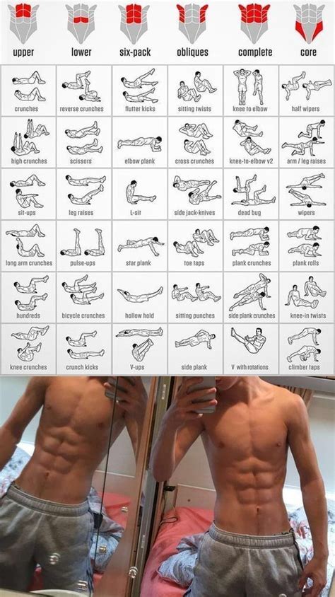 Pin by Caleb Bürch on Gym workouts | Gym workout tips, Free weight ...