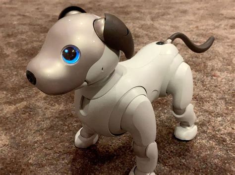 Sony aibo espresso edition ai robot dog – Artofit