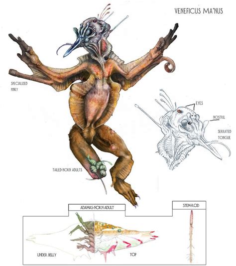 Speculative Evolution | Alien creatures, Alien concept art, Creature ...