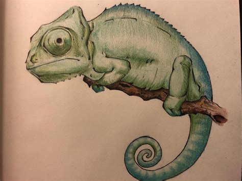 A little chameleon I drew. | Dessin d'animal, Yeux dessin, Dessin