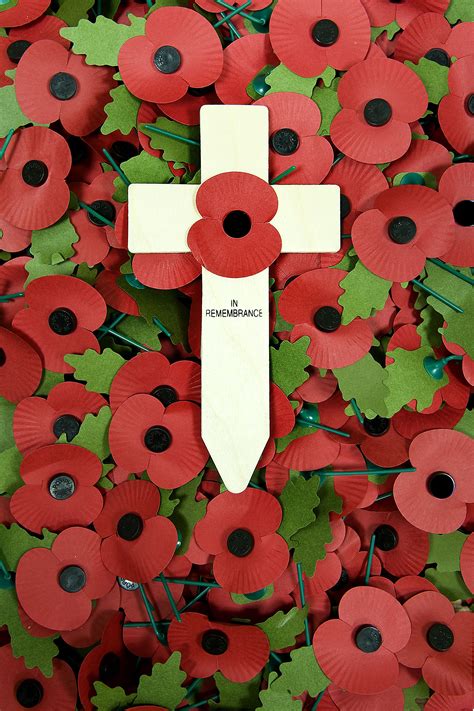 Royal British Legion Poppies of Rememberance | Remembrance day poppy ...