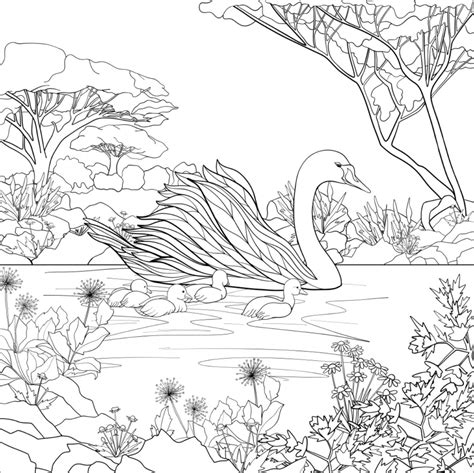 Swan Coloring Pages - ColoringBay