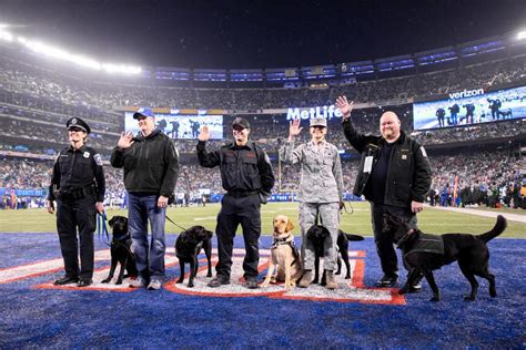 Puppies Behind Bars Program Provides Service Dogs For Veterans, First ...